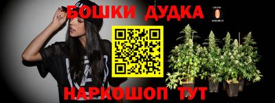 индика Партизанск