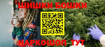 индика Партизанск