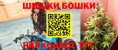 индика Партизанск