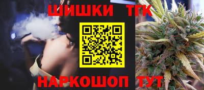 индика Партизанск