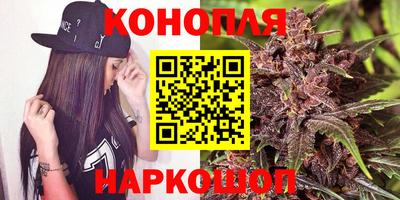 индика Партизанск