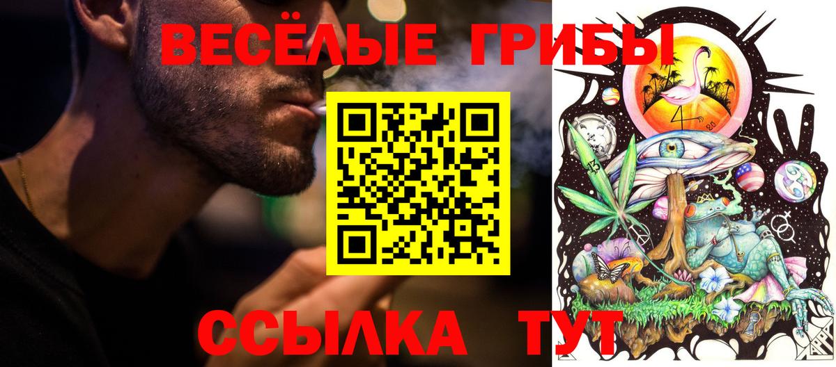 Галлюциногенные грибы Psilocybe Махачкала